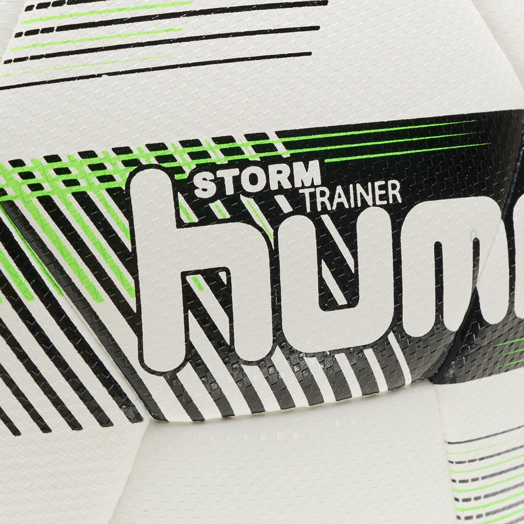 Ballon Hummel Storm Trainer