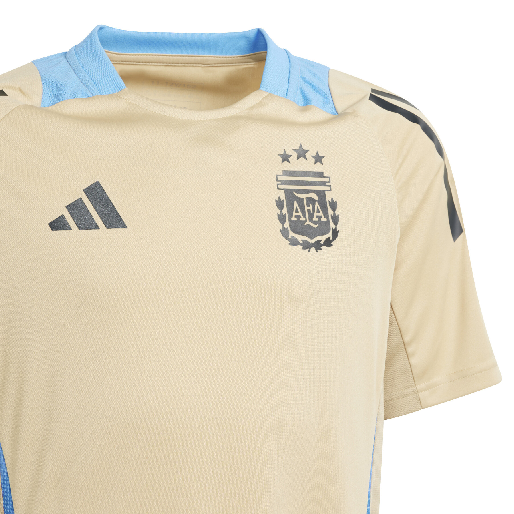 Maillot d'entraînement enfant Argentine Copa America 2024