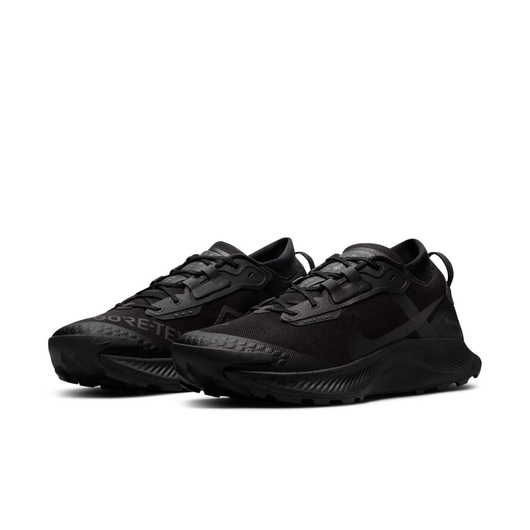 Chaussures de running Nike Pegasus Trail 3 Gore-Tex