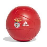 Ballon Benfica Lisbonne