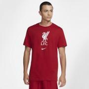 T-shirt Liverpool FC 2020/21