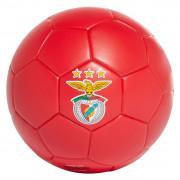 Mini-ballon Benfica Lisbonne