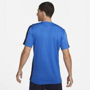 Maillot Nike Dri-FIT Academy 23 BR