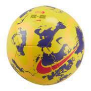Ballon de football Nike Premier League Skills 2023/24