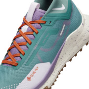 Chaussures de trail femme Nike Pegasus Trail 4 Gore-Tex