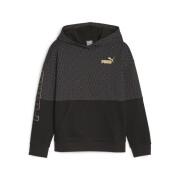Sweatshirt à capuche fille Puma Power Logo Love Colorblock